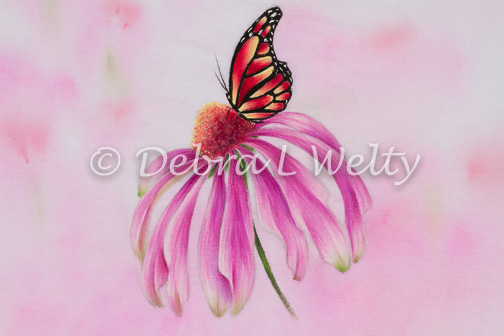 Coneflower and Monarch